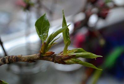 Так я набираюсь силы жить… - cluber.com.ua