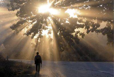 Почему про одних людей говорят, что у них светлая душа, а про других, что темная - cluber.com.ua