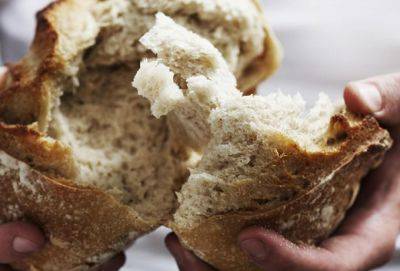 Кто знает, что такое голод, никогда не выбросит хлеб - cluber.com.ua