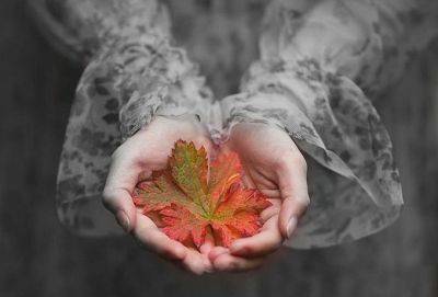 5 шагов к прощению тех, кто так и не извинился - cluber.com.ua