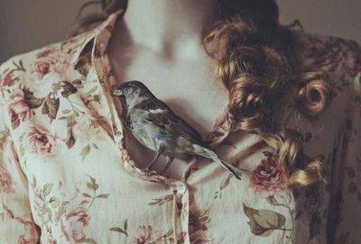 В новый год без ложных убеждений: как расчистить жизненный путь от хлама - cluber.com.ua