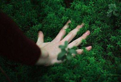 «Будьте проходящими»: 7 правил спокойствия на каждый день - cluber.com.ua