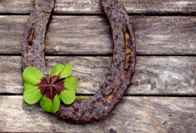 4 знака Зодиака, которым очень повезет в конце года - cluber.com.ua