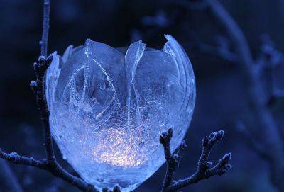 23.12.2022: Новолуние решительных действий и светлых перемен - cluber.com.ua