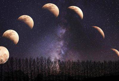 Лунный календарь на ноябрь 2022: благоприятные и неблагоприятные дни месяца - cluber.com.ua