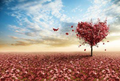 Не требуй любви, тогда ты ее получишь - cluber.com.ua