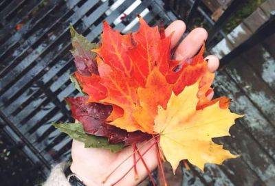 Вы нужны Жизни: 4 признака - cluber.com.ua