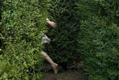 Мудрая индейская пословица гласит: «Лошадь сдохла — слезь» - cluber.com.ua