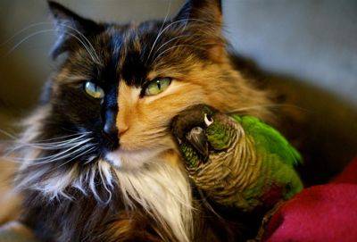 Ангелы существуют. Они живут среди нас… - cluber.com.ua