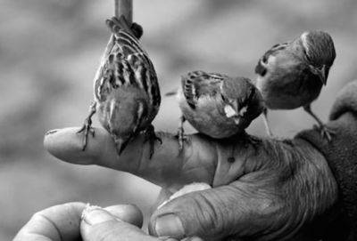 Больше, чем наследство: 4 истины о жизни, которые нужно передать своим детям - cluber.com.ua