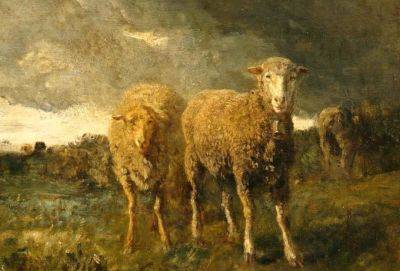 Как управлять массами: притча о волшебнике и овцах - cluber.com.ua