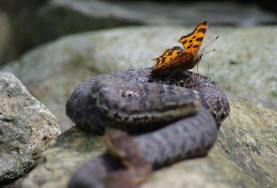 Притча о главной причине ненависти - cluber.com.ua