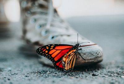 Всему свое время: почему нельзя торопить изменения - cluber.com.ua