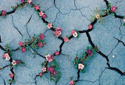 Правда бывает страшной и очень горькой - cluber.com.ua