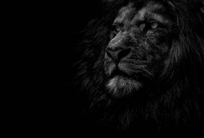 Сильных нужно беречь - cluber.com.ua