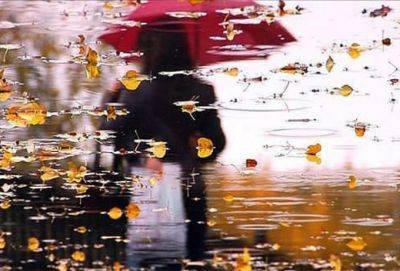 Все, что приходит в нашу жизнь, мы притягиваем сами - cluber.com.ua