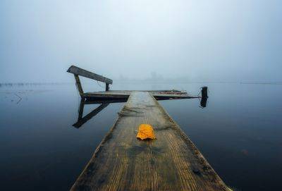 7 смыслов жизни в простоте, потому что сложно жить — сложно - cluber.com.ua