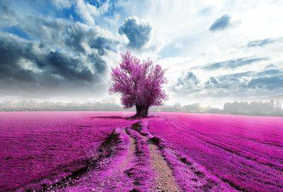 Сердце зрелой женщины — это глубокое море тайн - cluber.com.ua