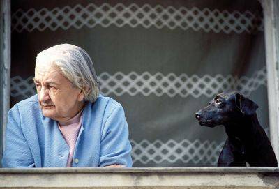 Почему взрослые дети не звонят и не рассказывают от том, как на самом деле у них дела - cluber.com.ua