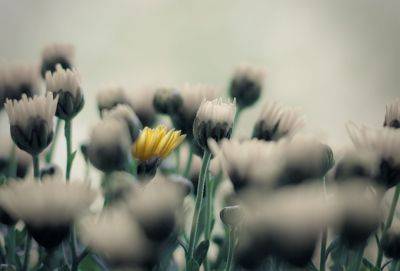 Почему стоит радоваться, когда с вами поступают несправедливо - cluber.com.ua