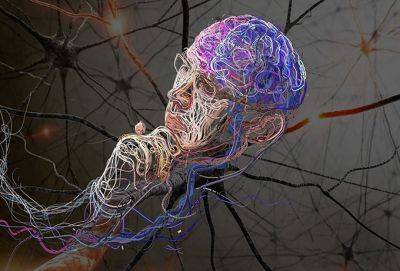 Доброта и любовь: как слова меняют наш мозг - cluber.com.ua