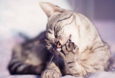 Почему я всегда говорю «да» в ответ на любую чушь (и вам советую) - cluber.com.ua