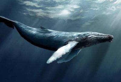 Если вы считаете себя одинокими, прочитайте этот текст - cluber.com.ua