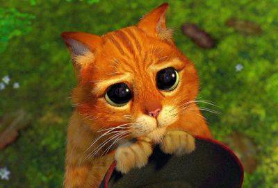 Как просить прощения у разных знаков Зодиака - cluber.com.ua