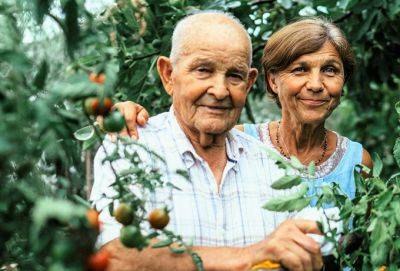 9 правил питания долгожителей - cluber.com.ua