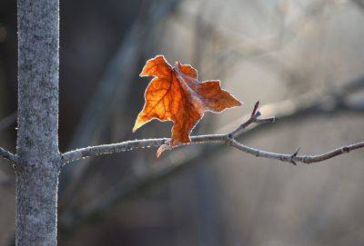 4 фразы, которыми мы пытаемся поддержать людей в депрессии, но делаем только хуже - cluber.com.ua