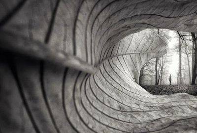 5 предостерегающих знаков, указывающих на то, что вы имеете дело с социопатом - cluber.com.ua