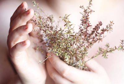 Честность – это образ жизни - cluber.com.ua