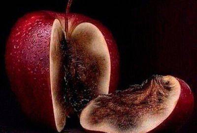 Если извинение начинается с любой из этих 10 фраз, оно фальшивое - cluber.com.ua