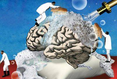 Сон буквально очищает мозг – согласно новым исследованиям - cluber.com.ua