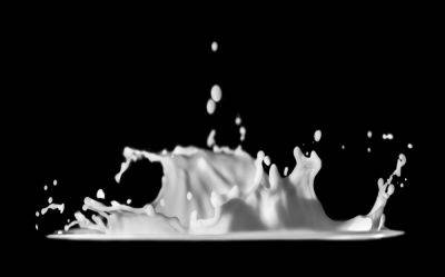 Молочные продукты. Как из одного молока получается всё — от кефира до камамбера? - shkolazhizni.ru