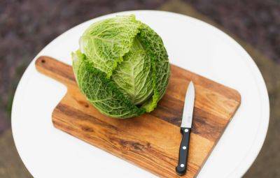 Восемь салатов из капусты: как приготовить привычный овощ просто, вкусно и не как обычно? - shkolazhizni.ru