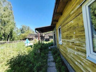 Павел Господарик - Сосна – не вариант для вашего дома. Это дерево выбирают все: не гниет, не боится сырости, прослужит столетия - belnovosti.by