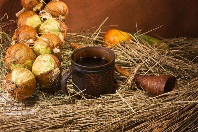 Как делать квас в домашних условиях? - shkolazhizni.ru