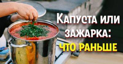 Что кладут первым в борщ: зажарку, капусту или картошку - nashsovetik.ru