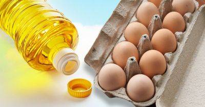 Как продлить срок хранения яиц - nashsovetik.ru