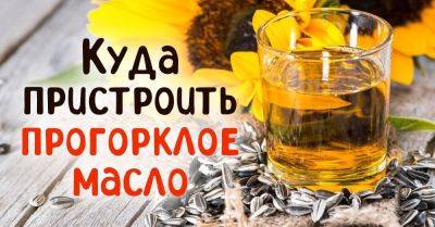 Многофункциональное подсолнечное масло: как использовать его не только на кухне - nashsovetik.ru