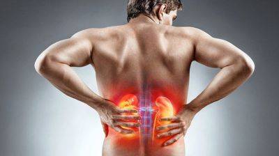 УЗИ почек как часть комплексного обследования организма - nashsovetik.ru - Россия