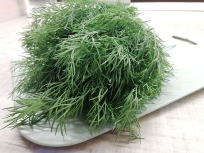 Как сохранить зелень свежей: трюк, который знают единицы - belnovosti.by