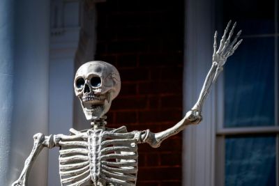 Для чего человеку скелет? - shkolazhizni.ru - Швейцария