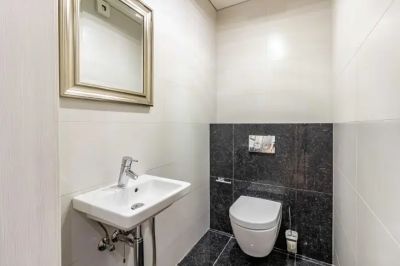 Как убрать ржавую полосу в унитазе: хитрость многих удивит - belnovosti.by