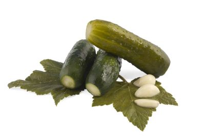 Как засолить огурцы? - shkolazhizni.ru