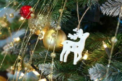 Троянский олень. Кто ворует семейный праздник? - shkolazhizni.ru