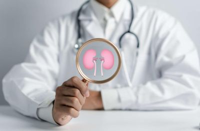 Здоровье почек: как сохранить их функцию на долгие годы - nashsovetik.ru