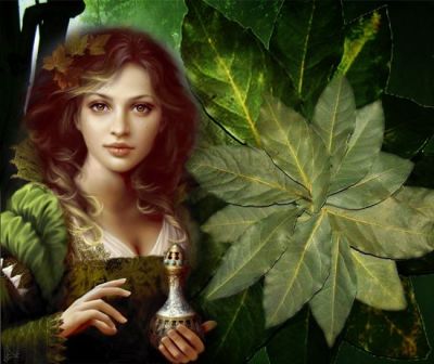 Волшебная лаврушка - liveinternet.ru