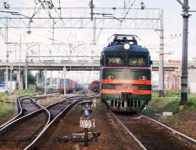 Чарльз Дарвин - За что Чарльз Дарвин полюбил бы Россию? - shkolazhizni.ru - Россия